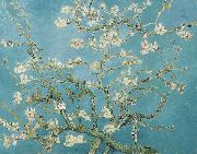 Almond Blossoms, Vincent Van Gogh